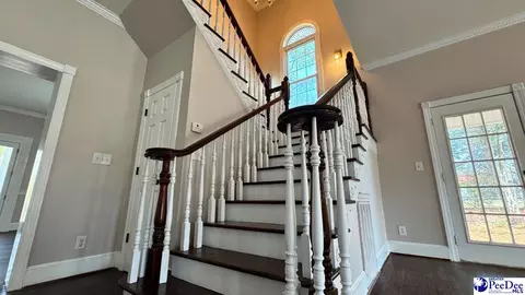964 Celtic Ln, Lamar, SC 29069 photo 20
