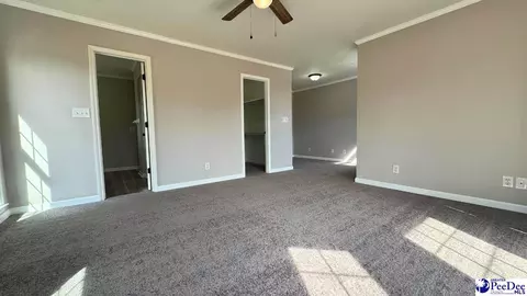 964 Celtic Ln, Lamar, SC 29069 photo 24