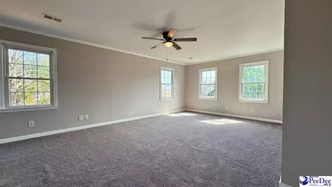 964 Celtic Ln, Lamar, SC 29069 photo 21