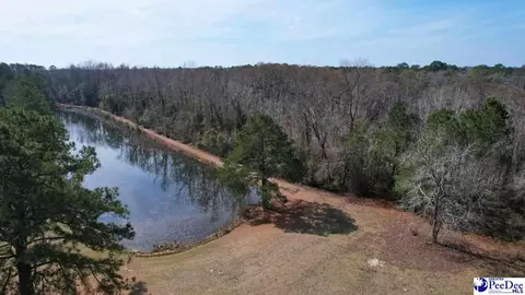 964 Celtic Ln, Lamar, SC 29069 photo 4