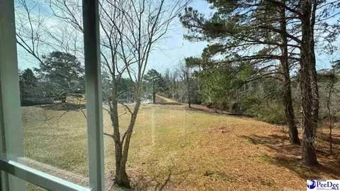 964 Celtic Ln, Lamar, SC 29069 photo 25