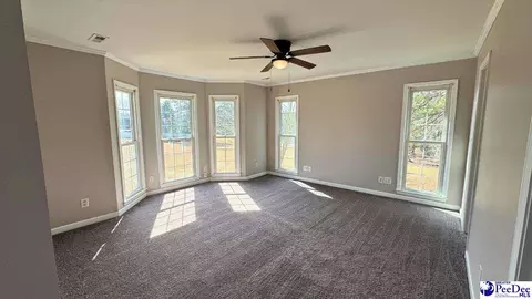 964 Celtic Ln, Lamar, SC 29069 photo 23
