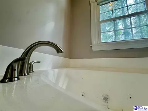 964 Celtic Ln, Lamar, SC 29069 photo 12