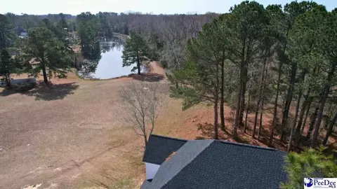 964 Celtic Ln, Lamar, SC 29069 photo 3