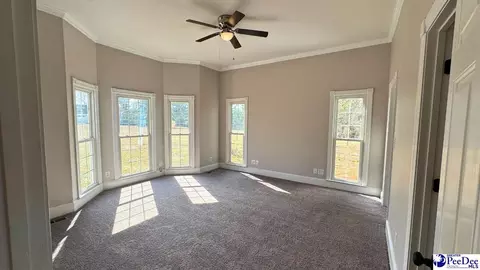 964 Celtic Ln, Lamar, SC 29069 photo 9