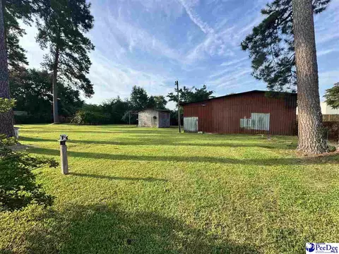 Exterior - 222 E Grace Dr, Florence, SC 29505 photo 4 of 6