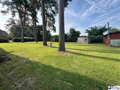 Exterior - 222 E Grace Dr, Florence, SC 29505 photo 5 of 6