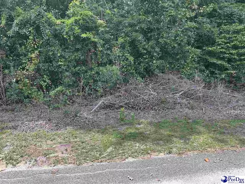 Holly Circle, Darlington, SC 29532