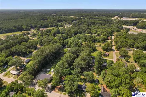 View/Area - 411 E Leitner St, Latta, SC 29565 photo 6 of 10