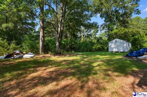 Exterior - 411 E Leitner St, Latta, SC 29565 photo 3 of 3