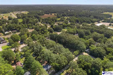 View/Area - 411 E Leitner St, Latta, SC 29565 photo 8 of 10