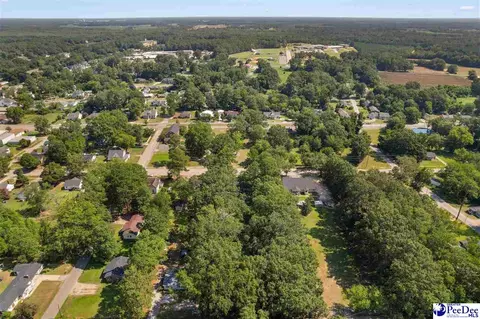 View/Area - 411 E Leitner St, Latta, SC 29565 photo 10 of 10