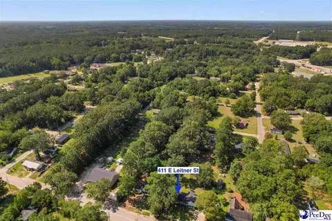 View/Area - 411 E Leitner St, Latta, SC 29565 photo 5 of 10