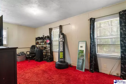 Other - 411 E Leitner St, Latta, SC 29565 photo 7 of 15