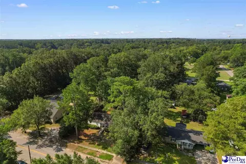 View/Area - 411 E Leitner St, Latta, SC 29565 photo 4 of 10
