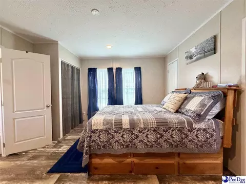 525 Oaky Point Rd, Latta, SC 29565 photo 15