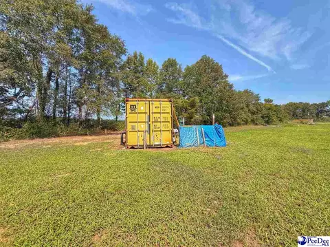 525 Oaky Point Rd, Latta, SC 29565 photo 32