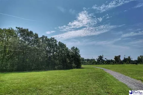 525 Oaky Point Rd, Latta, SC 29565 photo 31