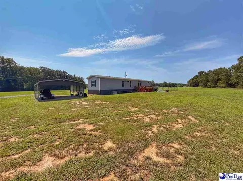 525 Oaky Point Rd, Latta, SC 29565 photo 28