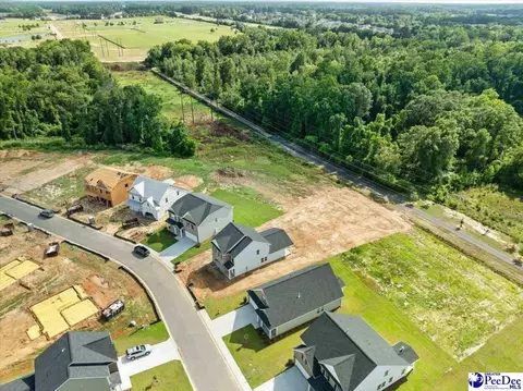 View/Area - 1118 Summer Duck Loop, Florence, SC 29501 photo 5 of 5