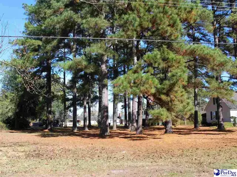 tbd Franklin Ave, Marion, SC 29571