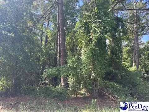 tbd Patrick Hwy, Hartsville, SC 29550
