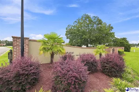 917 Bromley Hall, Florence, SC 29501 photo 42