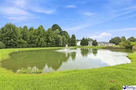 917 Bromley Hall, Florence, SC 29501 photo 43