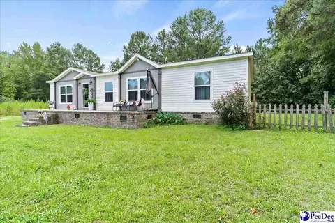 3646 Bobwhite Trl, Effingham, SC 29541 photo 3