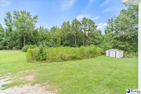 3646 Bobwhite Trl, Effingham, SC 29541 photo 28