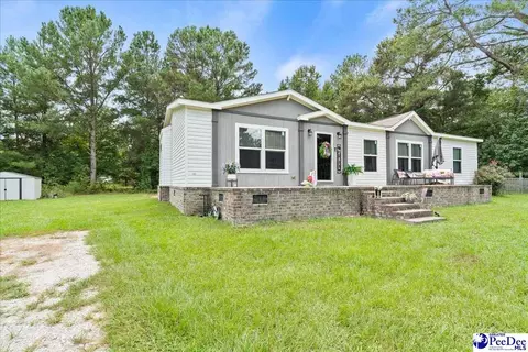 3646 Bobwhite Trl, Effingham, SC 29541 photo 2