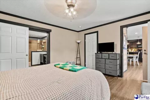 3646 Bobwhite Trl, Effingham, SC 29541 photo 17