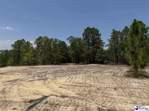 lot3 Patrick Hwy, Hartsville, SC 29550