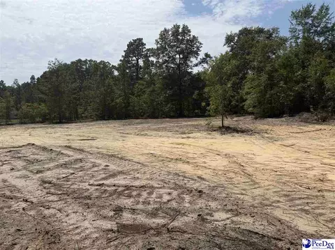 lot2 Patrick Hwy, Hartsville, SC 29550
