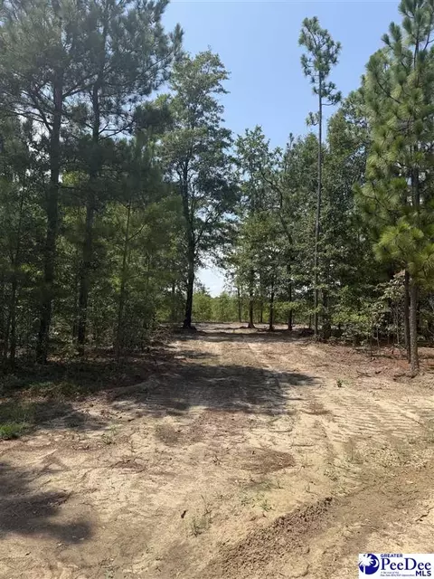 lot1 Patrick Hwy, Hartsville, SC 29550