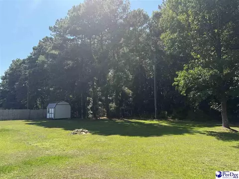 744 Davis St, Lamar, SC 29069 photo 5