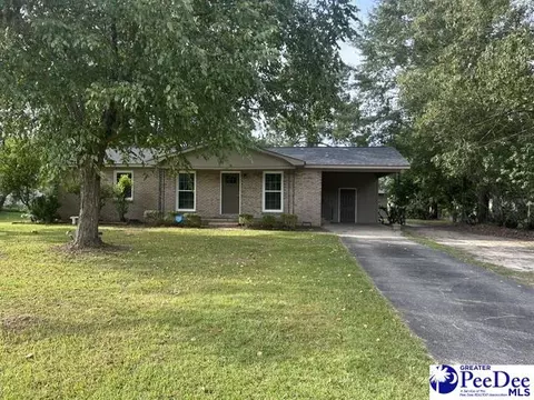 Other - 1002 Pitty Pat Dr, Florence, SC 29505 photo 2 of 9