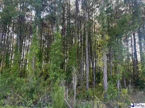 Commanchee Street Lots, Hartsville, SC 29550