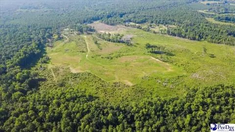 222 Gunn Mill Rd, Patrick, SC 29584 photo 6