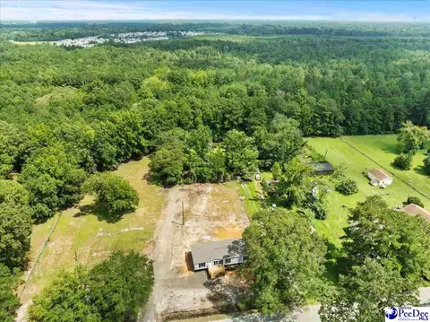 2338 S Point Rd, Effingham, SC 29541 photo 40