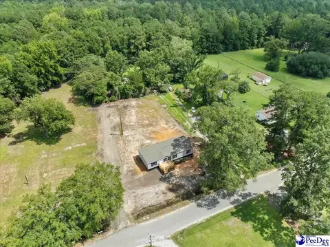 2338 S Point Rd, Effingham, SC 29541 photo 42