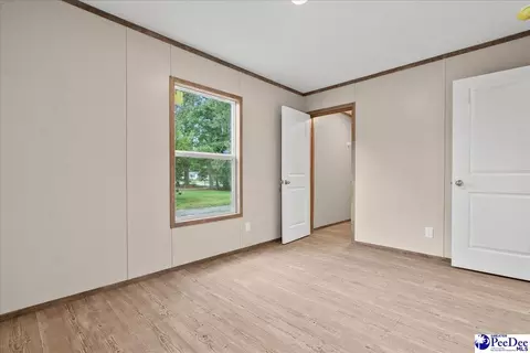 2338 S Point Rd, Effingham, SC 29541 photo 24