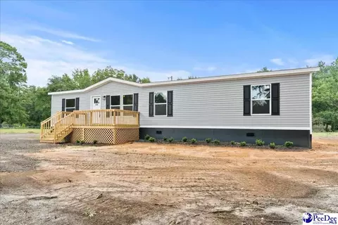 2338 S Point Rd, Effingham, SC 29541 photo 36