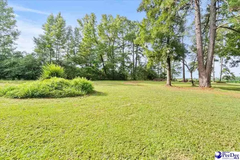 Exterior - 444 Judge Rd, Dillon, SC 29536 photo 11 of 12