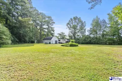 Exterior - 444 Judge Rd, Dillon, SC 29536 photo 5 of 12