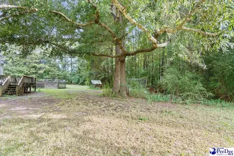 Exterior - 444 Judge Rd, Dillon, SC 29536 photo 7 of 12