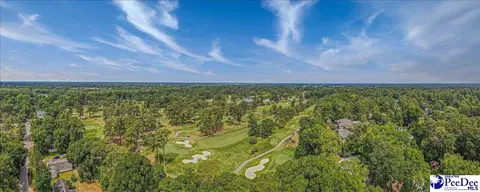 1101 Mimosa Dr, Florence, SC 29501 photo 3