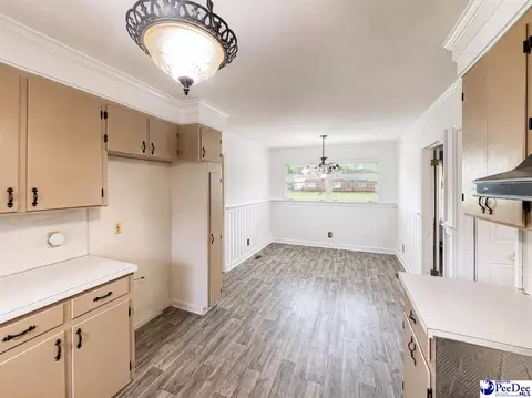 Other - 700 E Roosevelt St, Dillon, SC 29536 photo 11 of 17