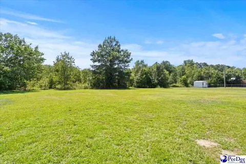 1423 Thompson Dr, Dillon, SC 29536 photo 35