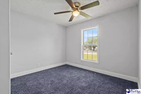 1423 Thompson Dr, Dillon, SC 29536 photo 27